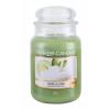 Yankee Candle Vanilla Lime Illatgyertya 623 g