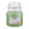 Yankee Candle Vanilla Lime Illatgyertya 411 g