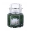 Yankee Candle Evergreen Mist Illatgyertya 104 g