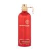 Montale Oud Tobacco Eau de Parfum 100 ml teszter