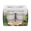 Yankee Candle Camellia Blossom Illatgyertya 117,6 g