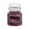 Village Candle Palm Beach Illatgyertya 389 g