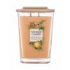 Yankee Candle Elevation Collection Tonka Bean &amp; Pumpkin Illatgyertya 552 g