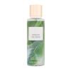 Victoria´s Secret Beneath The Palms Testpermet nőknek 250 ml