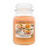 Yankee Candle Mango Ice Cream Illatgyertya 623 g