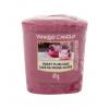 Yankee Candle Sweet Plum Sake Illatgyertya 49 g