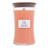 WoodWick Chilli Pepper Gelato Illatgyertya 610 g