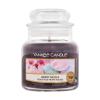 Yankee Candle Berry Mochi Illatgyertya 104 g