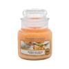 Yankee Candle Mango Ice Cream Illatgyertya 104 g