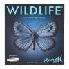 Barry M Wildlife Butterfly Szemhéjfesték nőknek 12,6 g