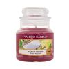 Yankee Candle Sunny Daydream Illatgyertya 104 g