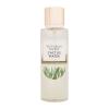 Victoria´s Secret Cactus Water Testpermet nőknek 250 ml