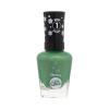 Sally Hansen Miracle Gel Holiday Collection Körömlakk nőknek 14,7 ml Változat 918 Under The Tree