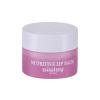 Sisley Nutritive Lip Balm Ajakbalzsam nőknek 9 g