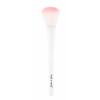 Wet n Wild Brushes Blush Sminkecset nőknek 1 db