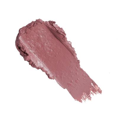 Revolution Pro New Neutral Satin Matte Lipstick Rúzs nőknek 3,2 g Változat Seclusion