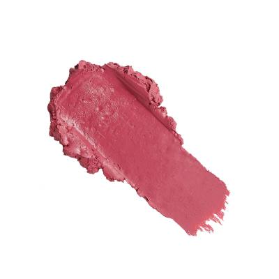 Revolution Pro New Neutral Satin Matte Lipstick Rúzs nőknek 3,2 g Változat Struck