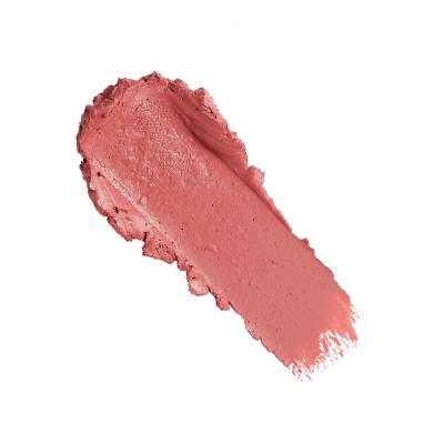 Revolution Pro New Neutral Satin Matte Lipstick Rúzs nőknek 3,2 g Változat Tease