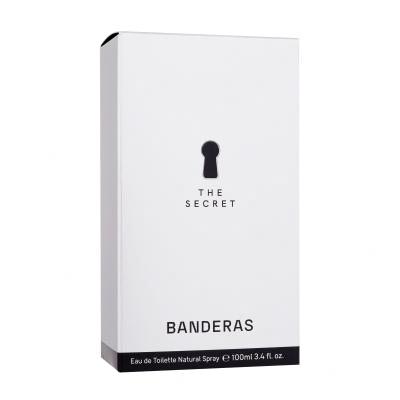 Banderas The Secret Eau de Toilette férfiaknak 100 ml