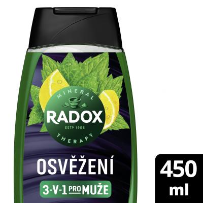 Radox Refreshment Menthol And Citrus 3-in-1 Shower Gel Tusfürdő férfiaknak 450 ml