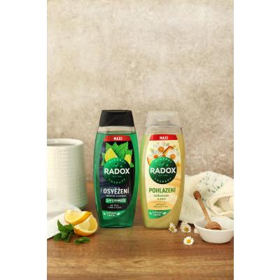 Radox Refreshment Menthol And Citrus 3-in-1 Shower Gel Tusfürdő férfiaknak 450 ml