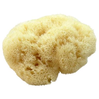 Kii-Baa Organic Silky Sea Sponge 10-12 cm Fürdőszobai kiegészítő 1 db