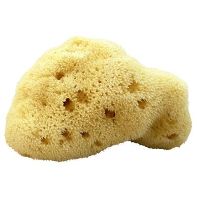 Kii-Baa Organic Silky Sea Sponge 8-10 cm Fürdőszobai kiegészítő 1 db