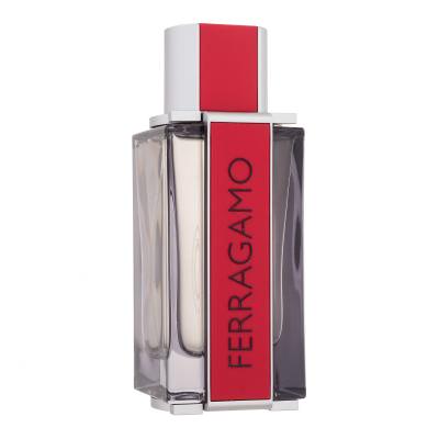 Ferragamo Ferragamo Red Leather Eau de Parfum férfiaknak 100 ml