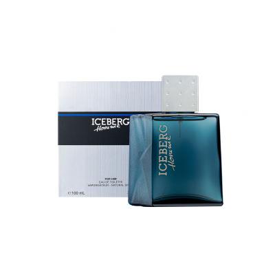 Iceberg Homme Eau de Toilette férfiaknak 100 ml