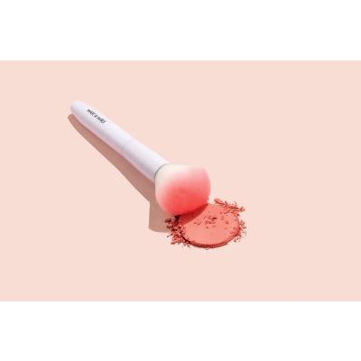 Wet n Wild Brushes Blush Sminkecset nőknek 1 db