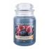 Yankee Candle Mulberry & Fig Delight Illatgyertya 623 g