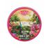 Institut Karité Pure Shea Butter Jungle Paradise Collector Edition Testvaj nőknek 50 ml