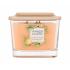 Yankee Candle Elevation Collection Tonka Bean & Pumpkin Illatgyertya 347 g