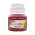 Yankee Candle Sunny Daydream Illatgyertya 104 g