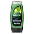 Radox Refreshment Menthol And Citrus 3-in-1 Shower Gel Tusfürdő férfiaknak 225 ml