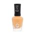 Sally Hansen Miracle Gel Körömlakk nőknek 14,7 ml Változat 770 I Don't Desert You