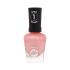 Sally Hansen Miracle Gel Körömlakk nőknek 14,7 ml Változat 250 Shell Yeah