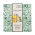 L'Occitane Almond (Amande) Body Care Gift Set Ajándékcsomagok Almond Shower Oil tusfürdő 250 ml + Almond Supple Skin Oil testolaj 100 ml + Almond Delicious Hands kézkrém 30 ml