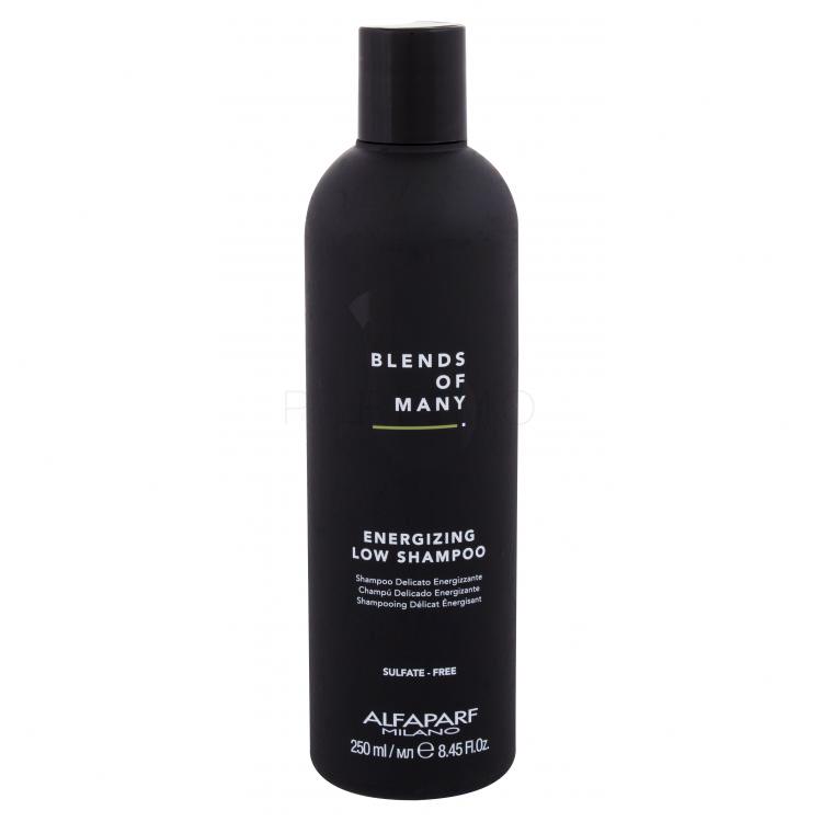 ALFAPARF MILANO Blends Of Many Energizing Sampon férfiaknak 250 ml